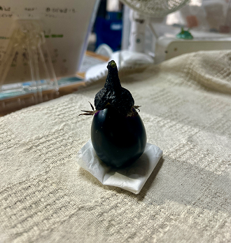 画像の説明